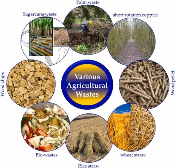 Agro Waste Biomass Pollution – Pan India Solutions