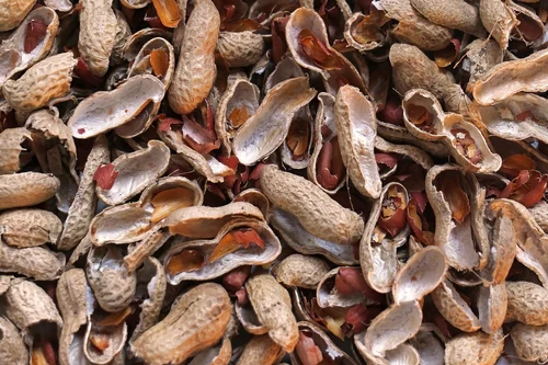 GROUND NUT SHELL