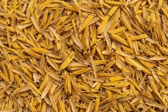 RICE HUSK
