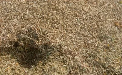 SOYABEAN HUSK (KUTAR)