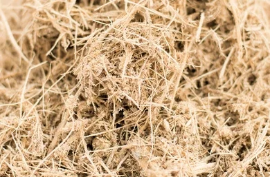 SUGARCANE TRASH (BAGGAS)
