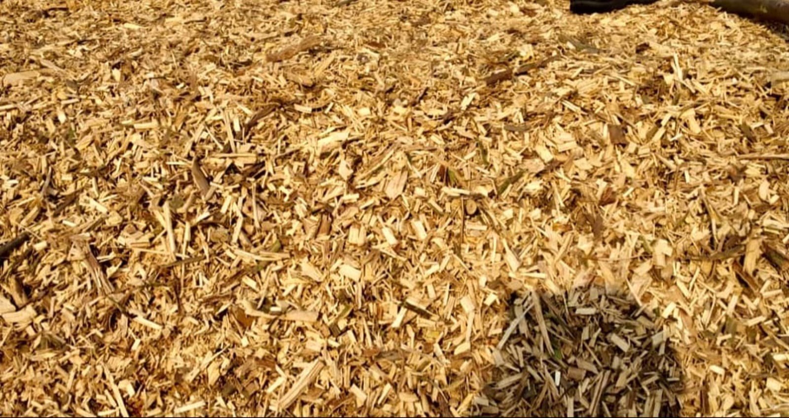 biomass-mustard-husk