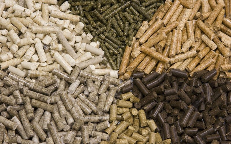 Biomass Pellet Machine Supplier in India | Reliable Performance Assured