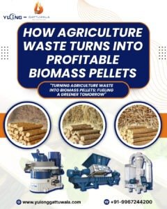 Biomass Pellet Machine