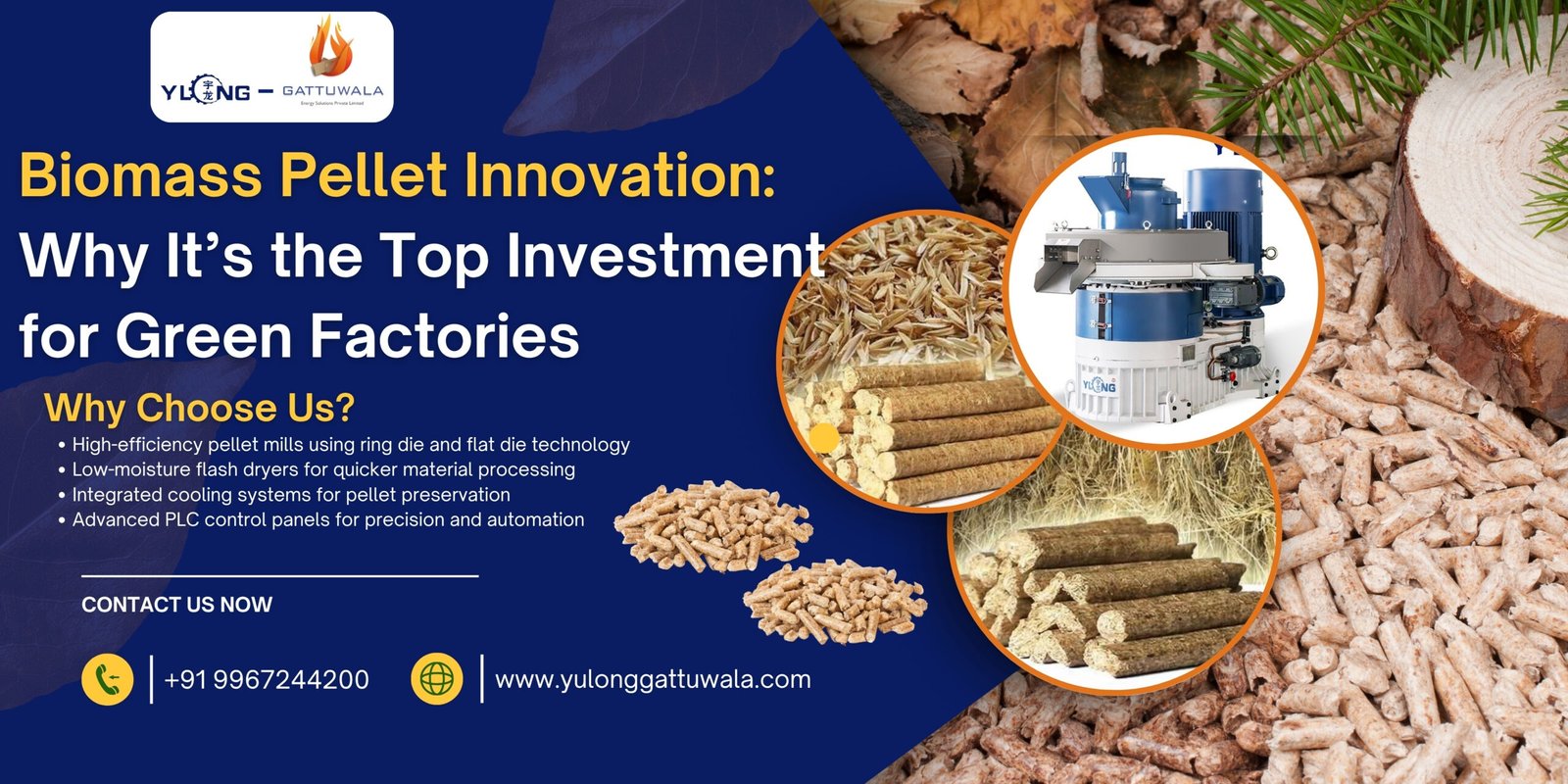 Biomass Pellet