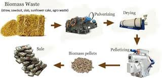 Biomass Pellet Plant