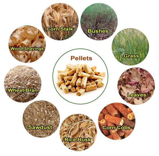 Biomass Pellet Machine