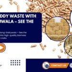 Pelletizing Paddy Waste with Yulong-Gattuwala – See the Results