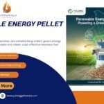 Renewable Energy Pellet Machines