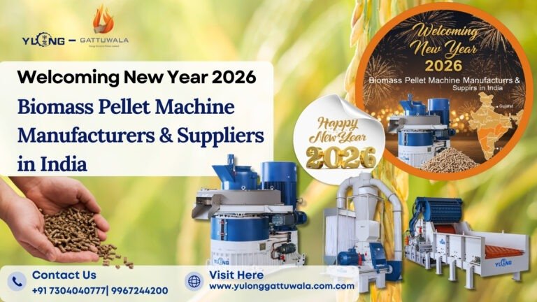 Welcoming New Year 2026