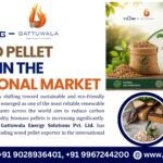 Top Wood Pellet Exporter in the International Market